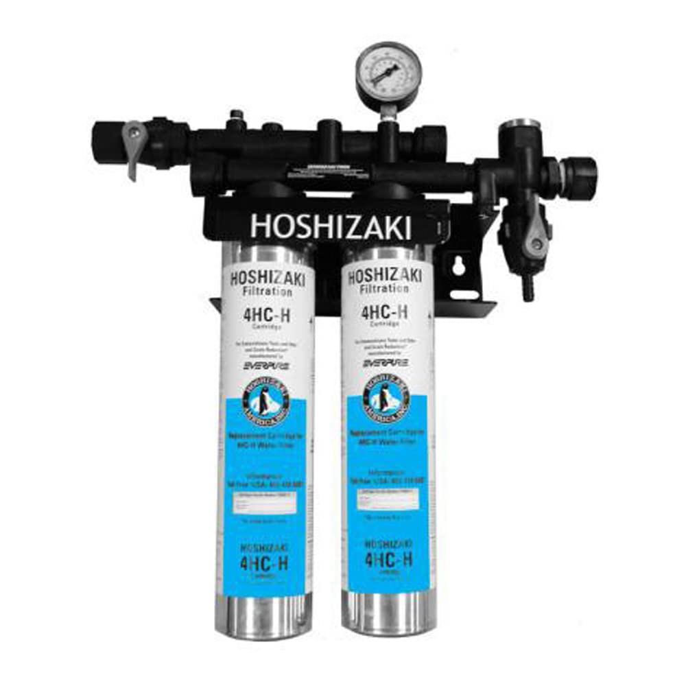Amazon.com: NORDON H9320-52 Twin Water Filter System with Manifold